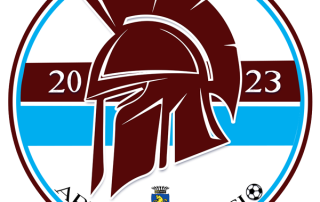 Artemide calcio
